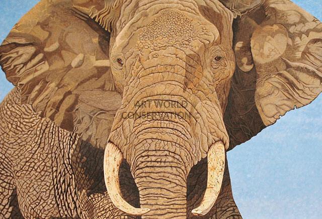 African Bull Elephant painting