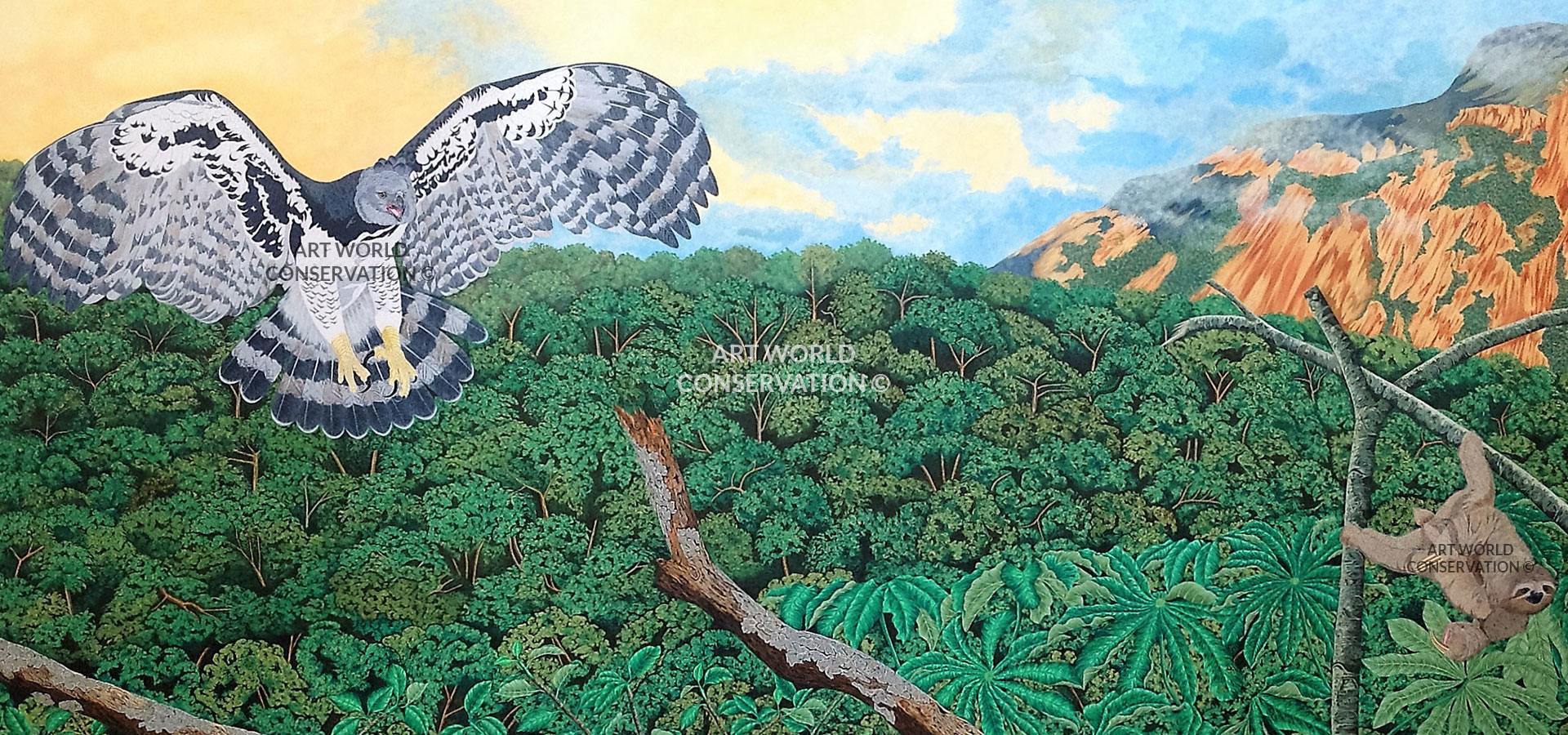 Harpy Eagle Wildlife Art
