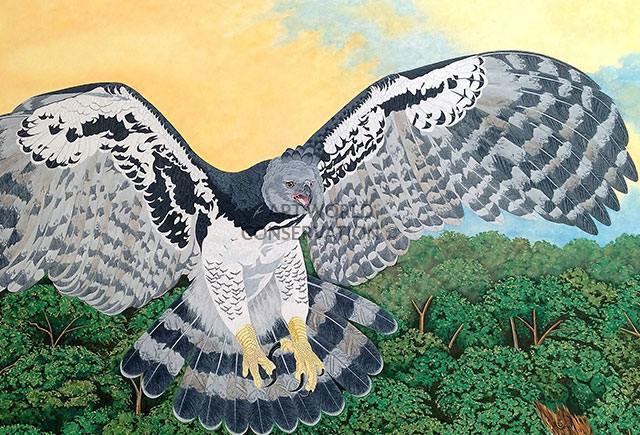 Harpy Eagle & Sloth painting