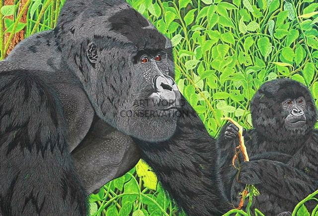 Gorillas In the Virungas painting